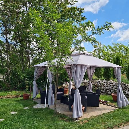 Vila Dincic Doo Veliko Gradište Exteriér fotografie