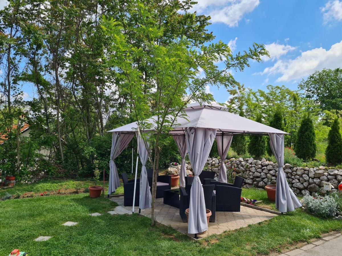Vila Dincic Doo Veliko Gradište Exteriér fotografie