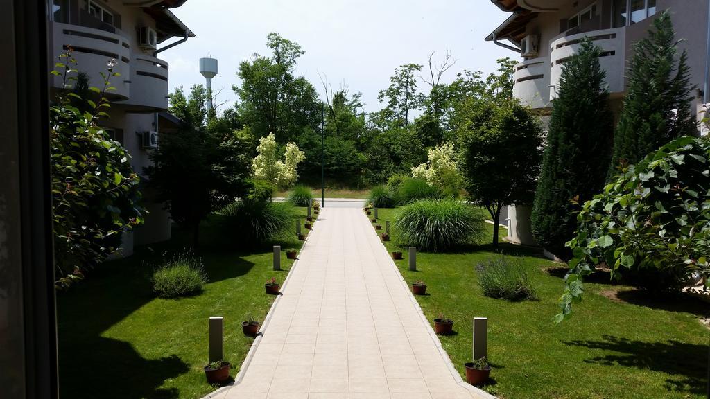 Vila Dincic Doo Veliko Gradište Exteriér fotografie