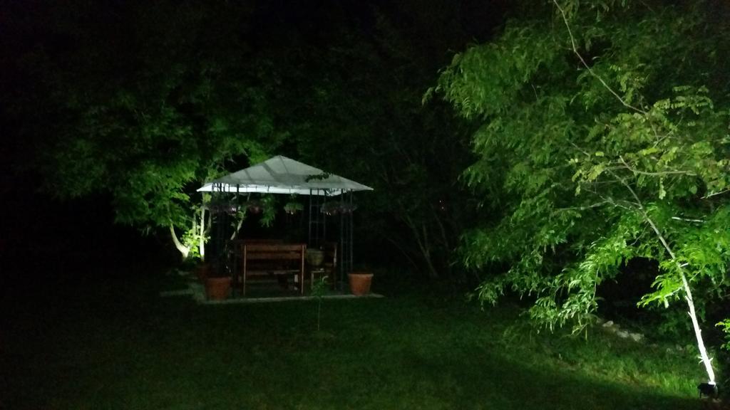 Vila Dincic Doo Veliko Gradište Exteriér fotografie