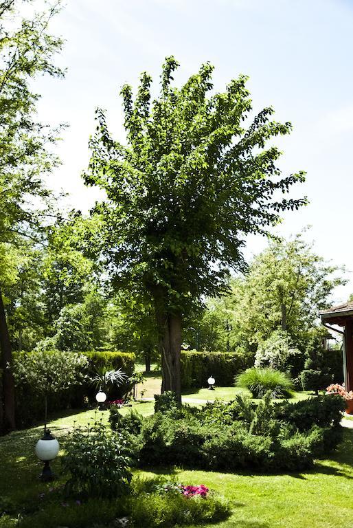 Vila Dincic Doo Veliko Gradište Exteriér fotografie